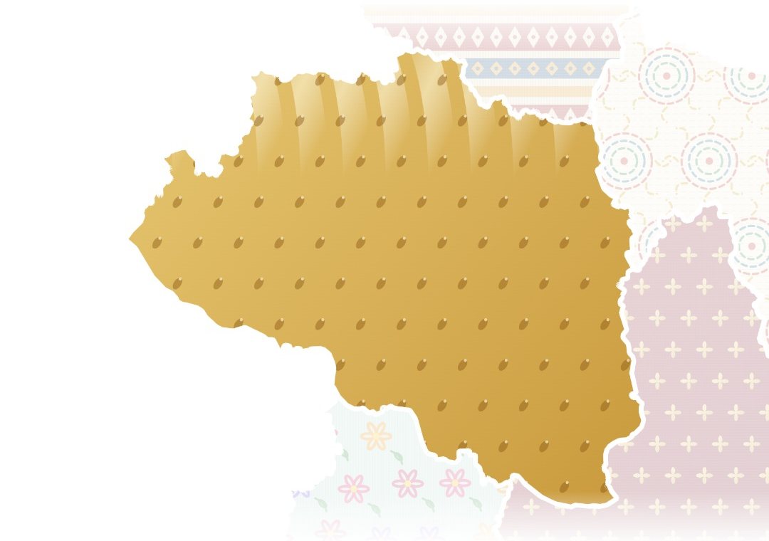 Rajshahi division in the video, in the silk pattern