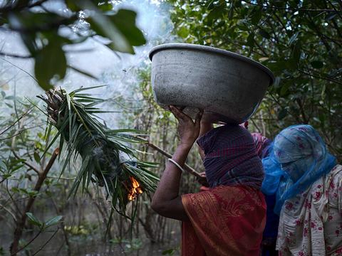 সুন্দরবনের মধু