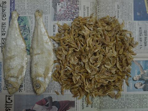 শুঁটকি