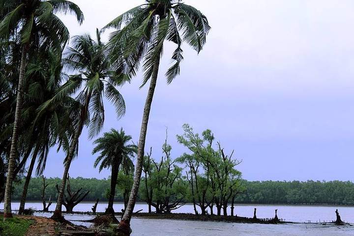 কটকা সৈকত, সুন্দরবন