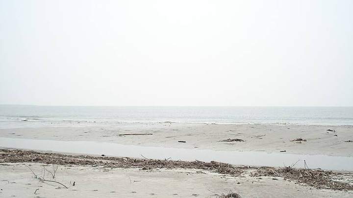 কটকা ও কচিখালী, বাগেরহাট