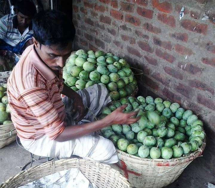 আমবাগান