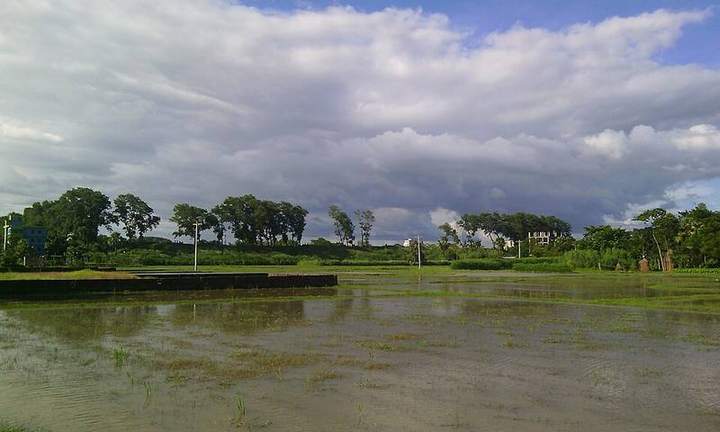 বিজয় সিংহ দিঘি, ফেনী