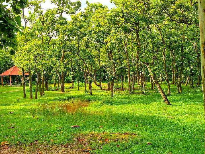 ঢাকার কাছে শীতের পিকনিক স্পট: পরিবার, অফিস আর শিক্ষা সফরের ৮টি জায়গা