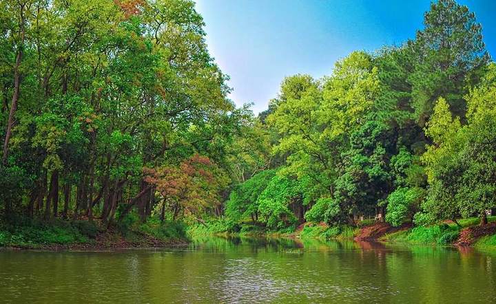 ভাওয়াল জাতীয় উদ্যানের ভেতরের জলাশয়