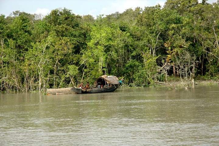 সুন্দরবন ভ্রমণ গাইড: প্যাকেজ ট্যুর, খরচ, করমজল ও কটকা-কচিখালী