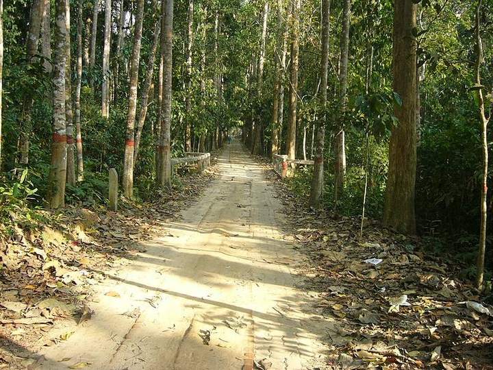 লাউয়াছড়া জাতীয় উদ্যান