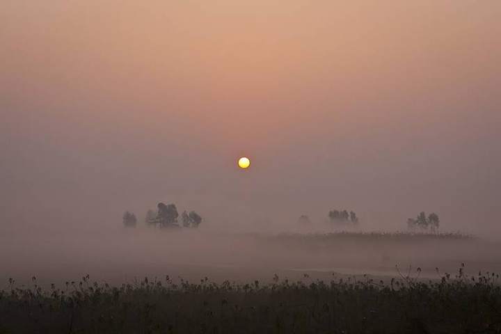 Baikka Beel on a winter morning
