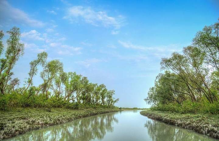 নিঝুম দ্বীপ ভ্রমণ গাইড ও খরচ ২০২৬: লঞ্চে যাওয়ার উপায়, হরিণ আর থাকার জায়গা