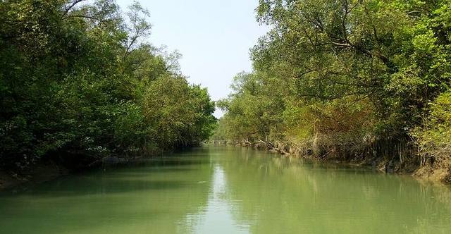 চর কুকরি-মুকরি, ভোলা