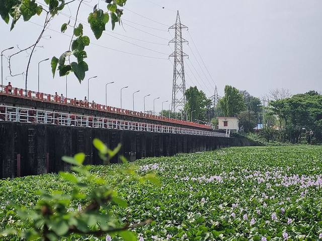 মুহুরী প্রজেক্ট, ফেনী