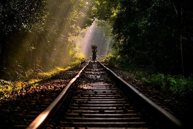 লাউয়াছড়া জাতীয় উদ্যান, মৌলভীবাজার