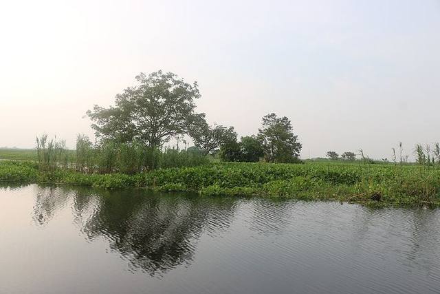 আড়িয়াল বিল, মুন্সীগঞ্জ