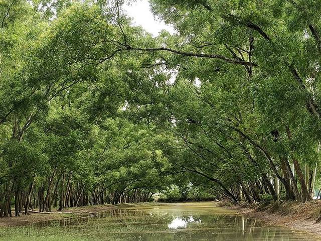 আলতাদিঘি জাতীয় উদ্যান