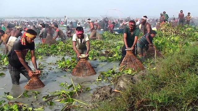 চলনবিল, নাটোর