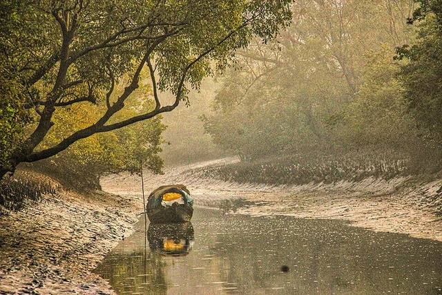 সুন্দরবন, মুন্সীগঞ্জ-কলাগাছিয়া, সাতক্ষীরা