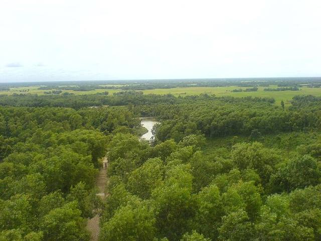 মধুটিলা ইকো পার্ক