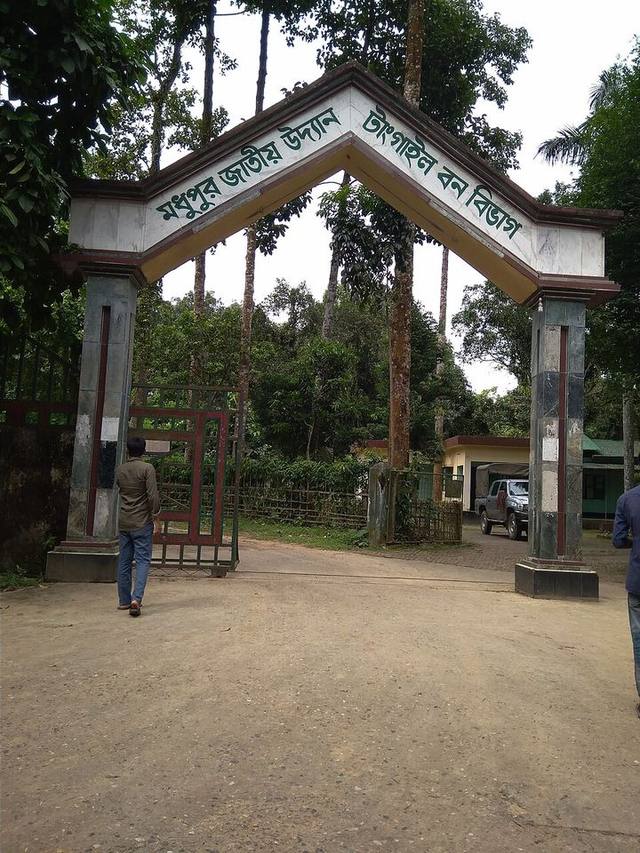 মধুপুর জাতীয় উদ্যান