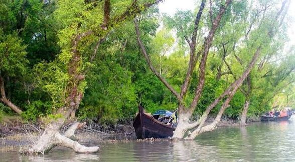 Fatrar Char, Patuakhali