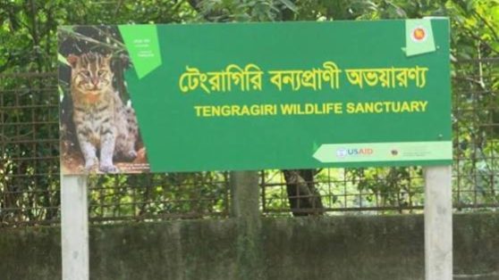 Fatrar Char: photo by মোঃ ইমরান হোসাইন