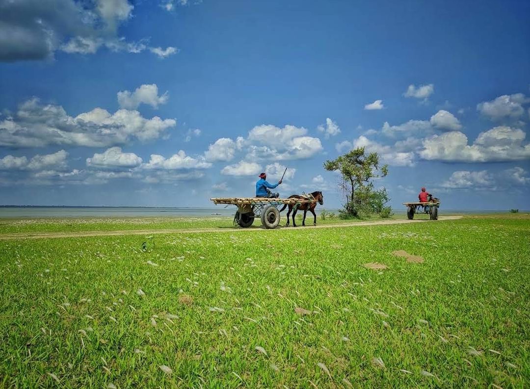 আন্ধারমানিক পদ্মাপাড়, হরিরামপুর: ছবি ২