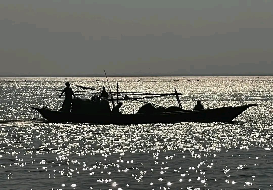 আন্ধারমানিক পদ্মাপাড়, হরিরামপুর: ছবি ৫