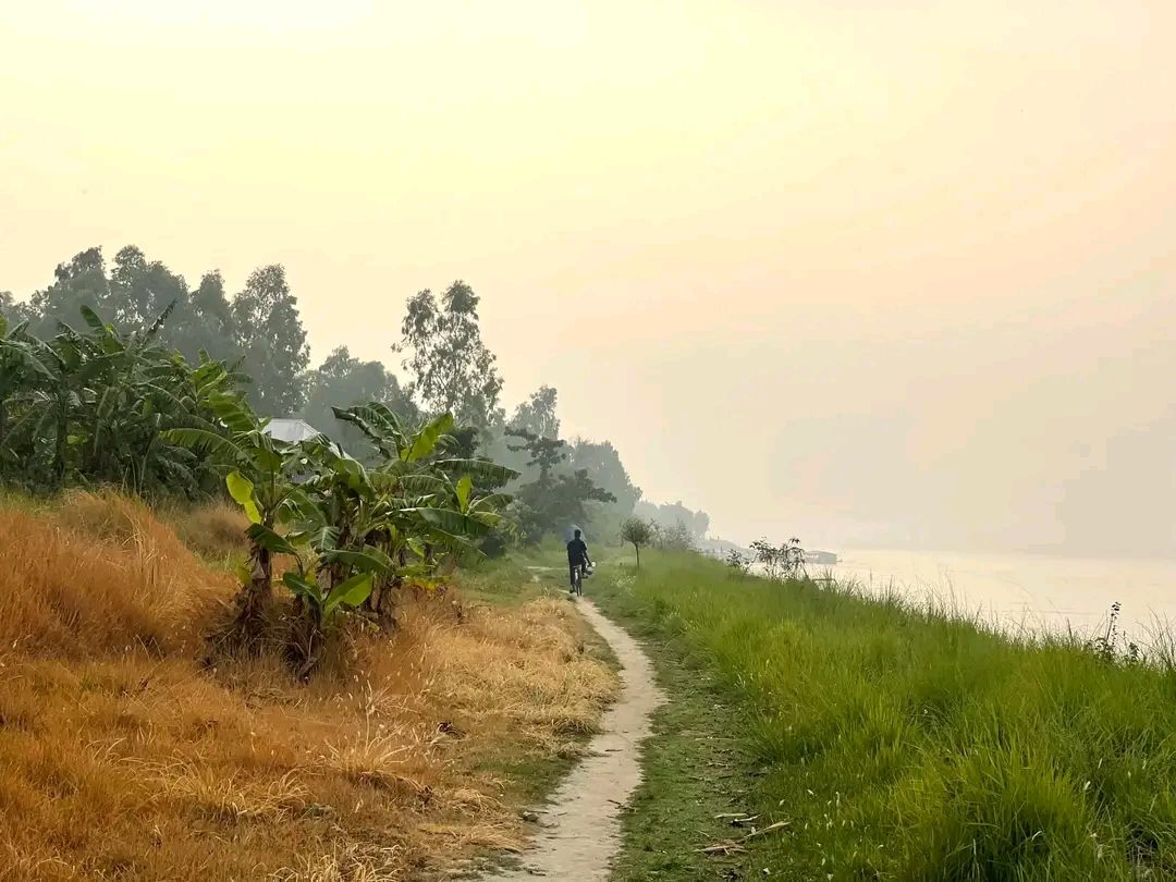 আন্ধারমানিক পদ্মাপাড়, হরিরামপুর: ছবি ৭