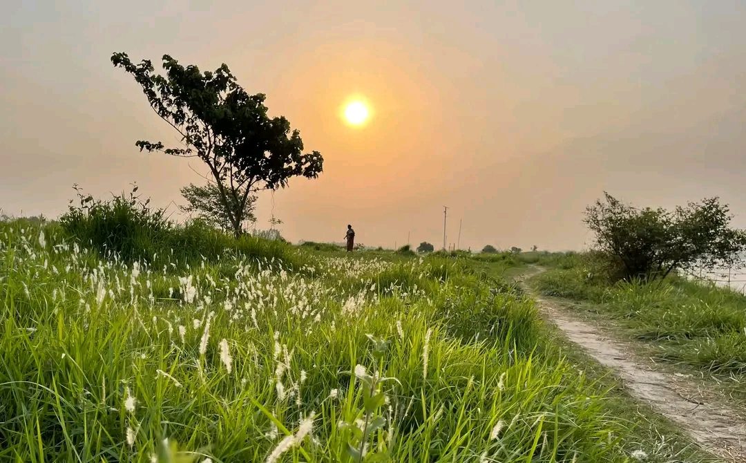 আন্ধারমানিক পদ্মাপাড়, হরিরামপুর: ছবি ৮