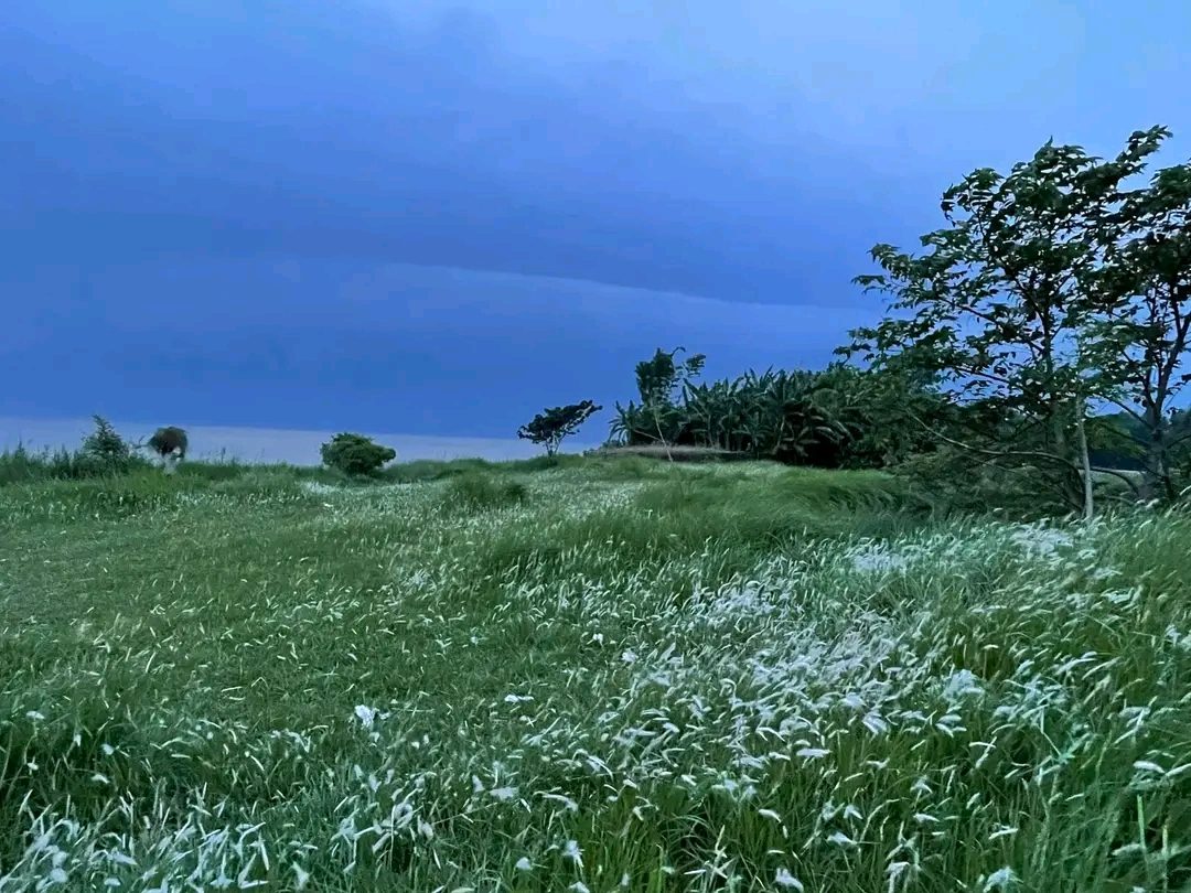 আন্ধারমানিক পদ্মাপাড়, হরিরামপুর: ছবি ৯