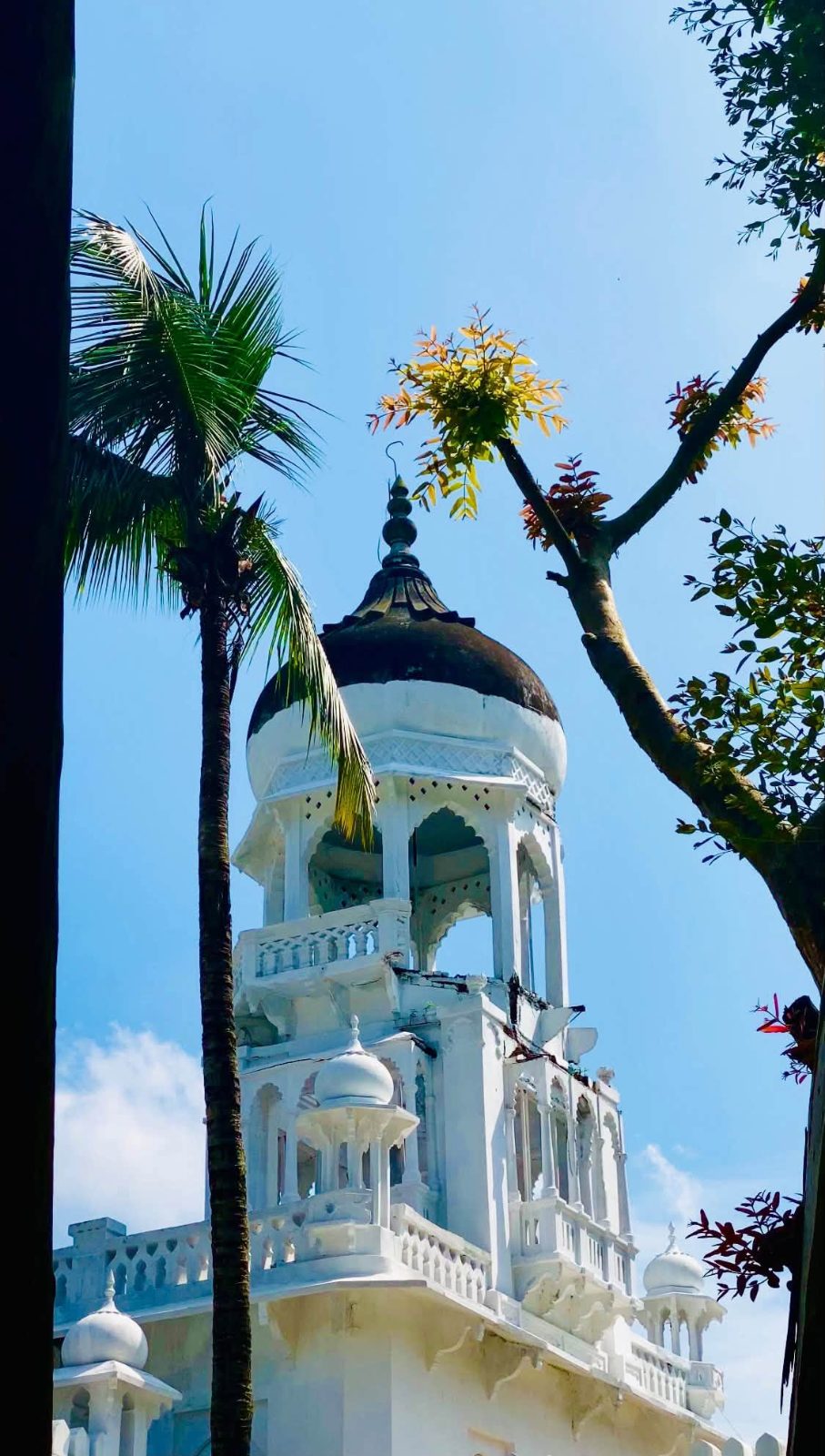 রংপুর কারমাইকেল কলেজ, রংপুর সদর (লালবাগ), রংপুর