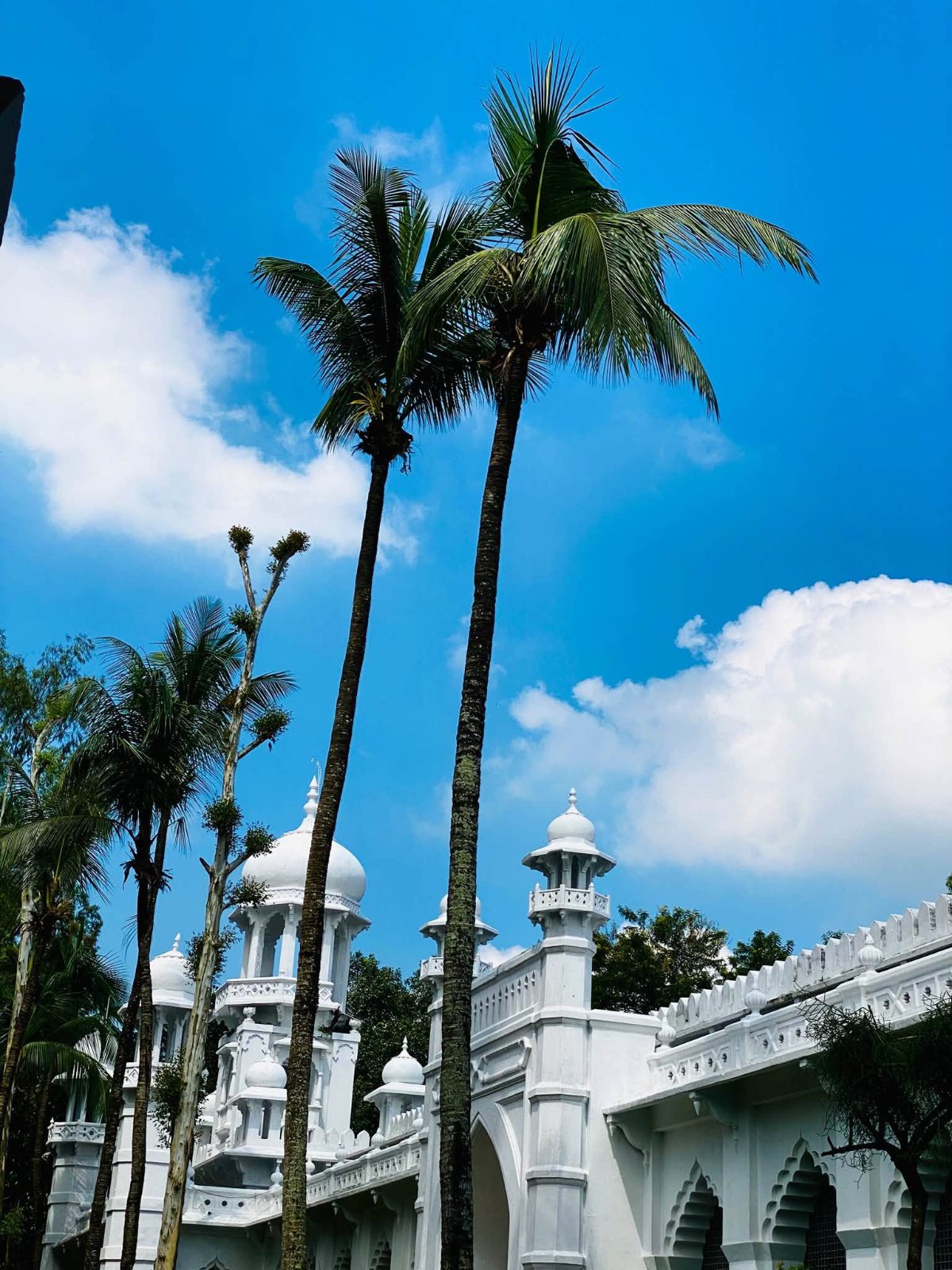 রংপুর কারমাইকেল কলেজ: ছবি ৮