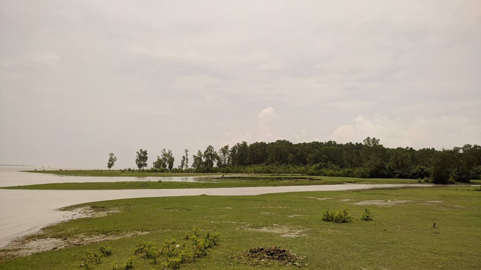 চর কুকরি মুকরি: ছবি ৪