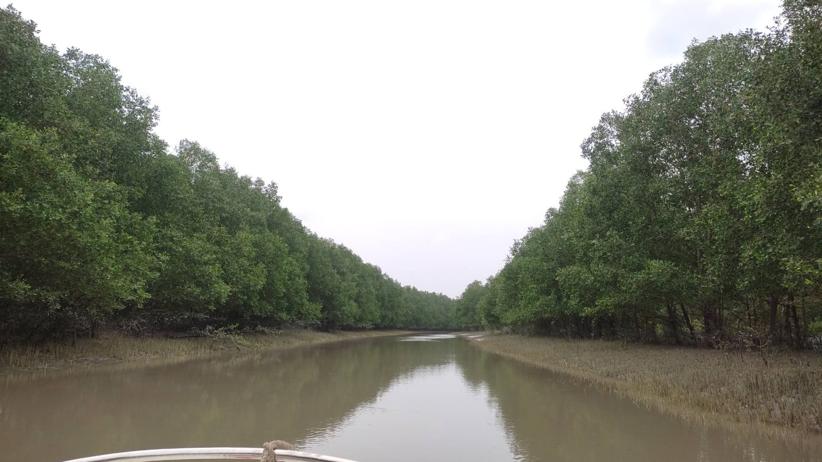 চর কুকরি মুকরি: ছবি ৬