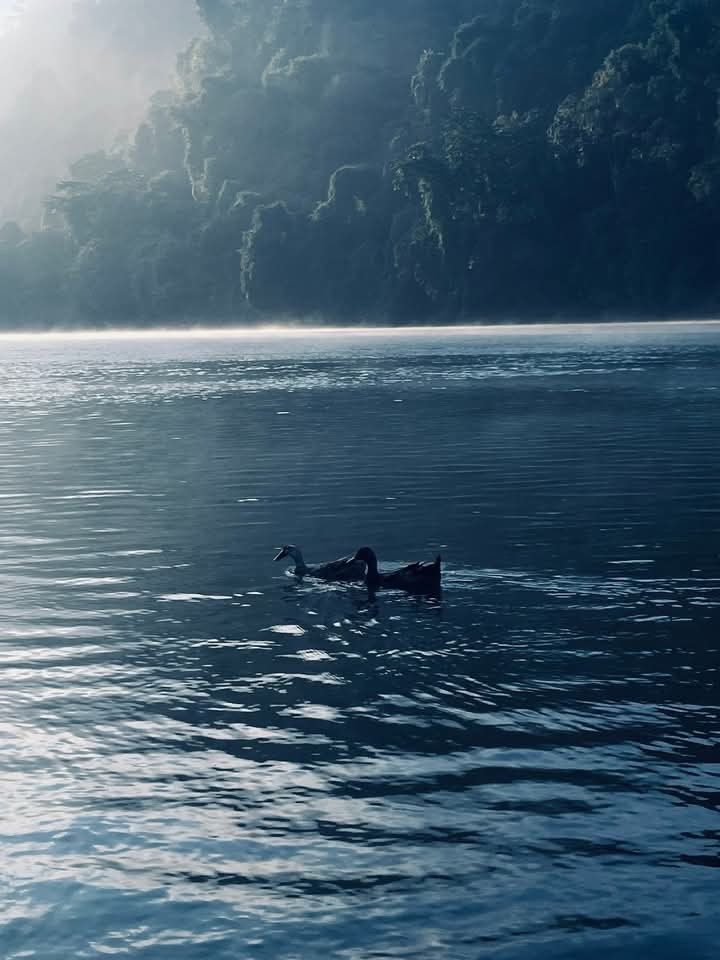 শীলছড়ি,: ছবি ৫