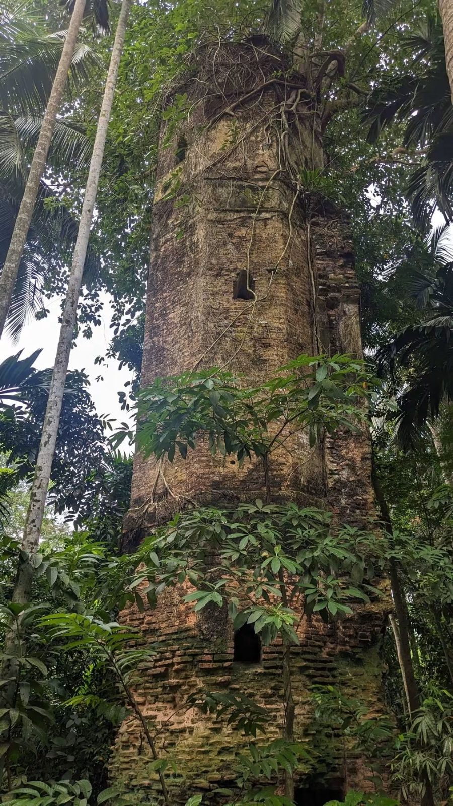 নীল কুঠি, ফরিদগঞ্জ, চাঁদপুর