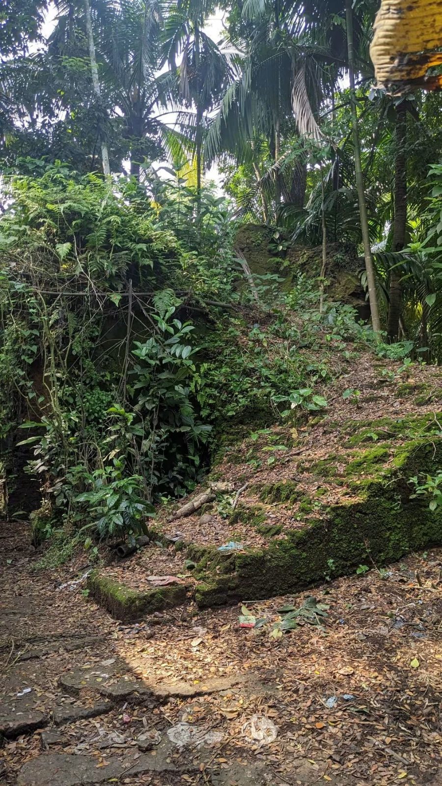 নীল কুঠি: ছবি ২