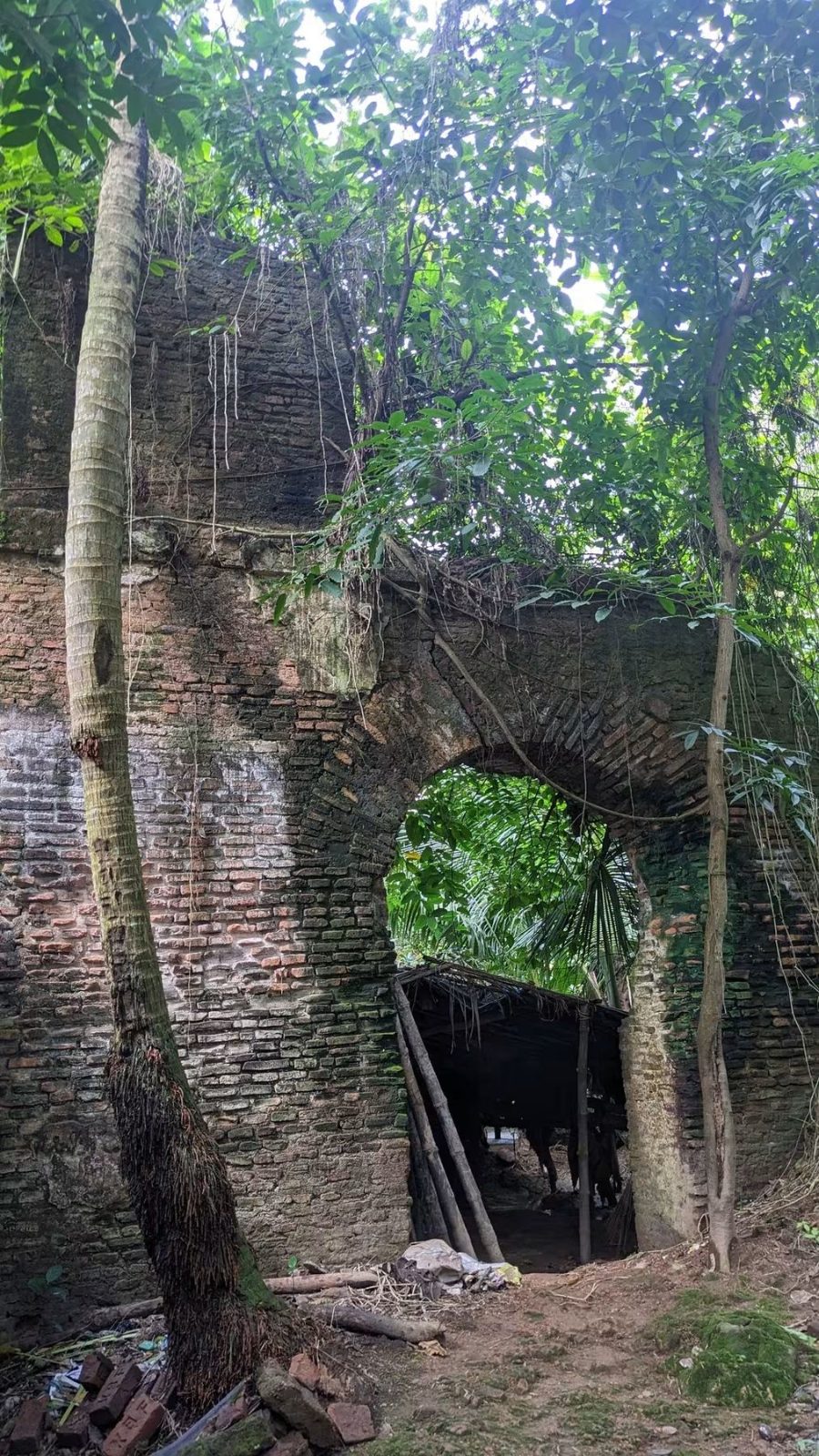 নীল কুঠি: ছবি ৩