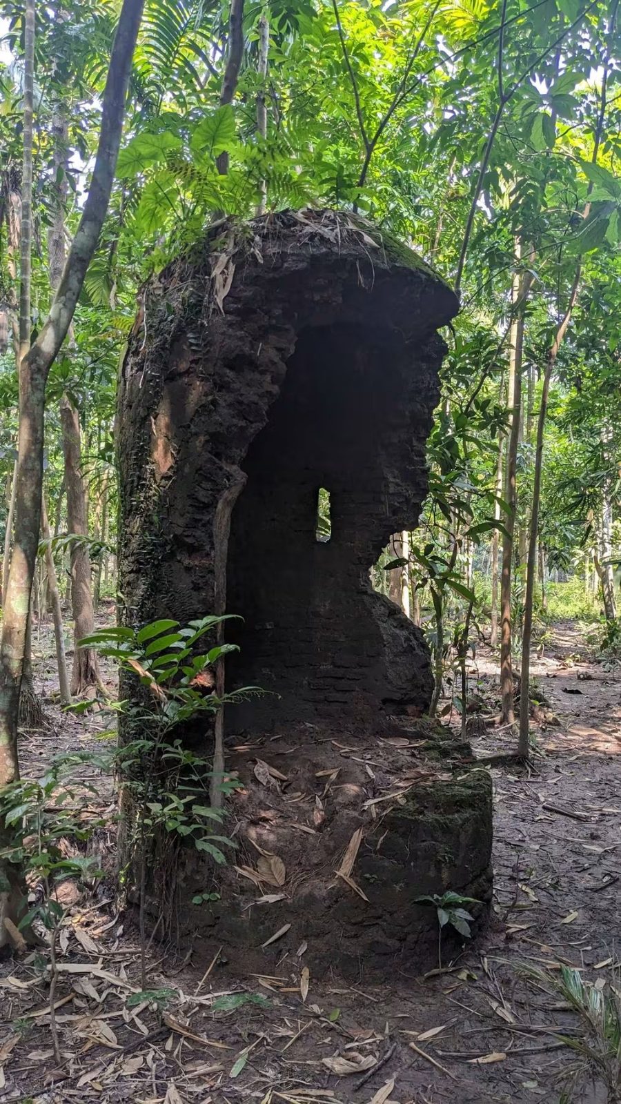 নীল কুঠি: ছবি ৪