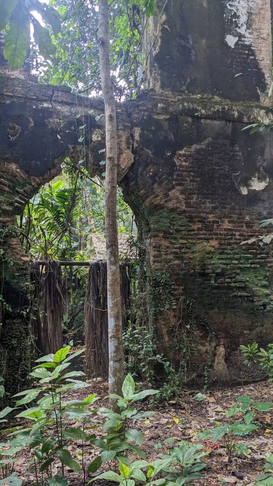 নীল কুঠি: ছবি ৬