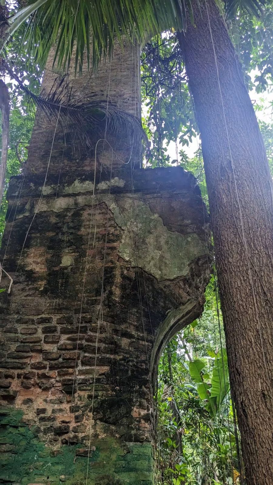 নীল কুঠি: ছবি ৭