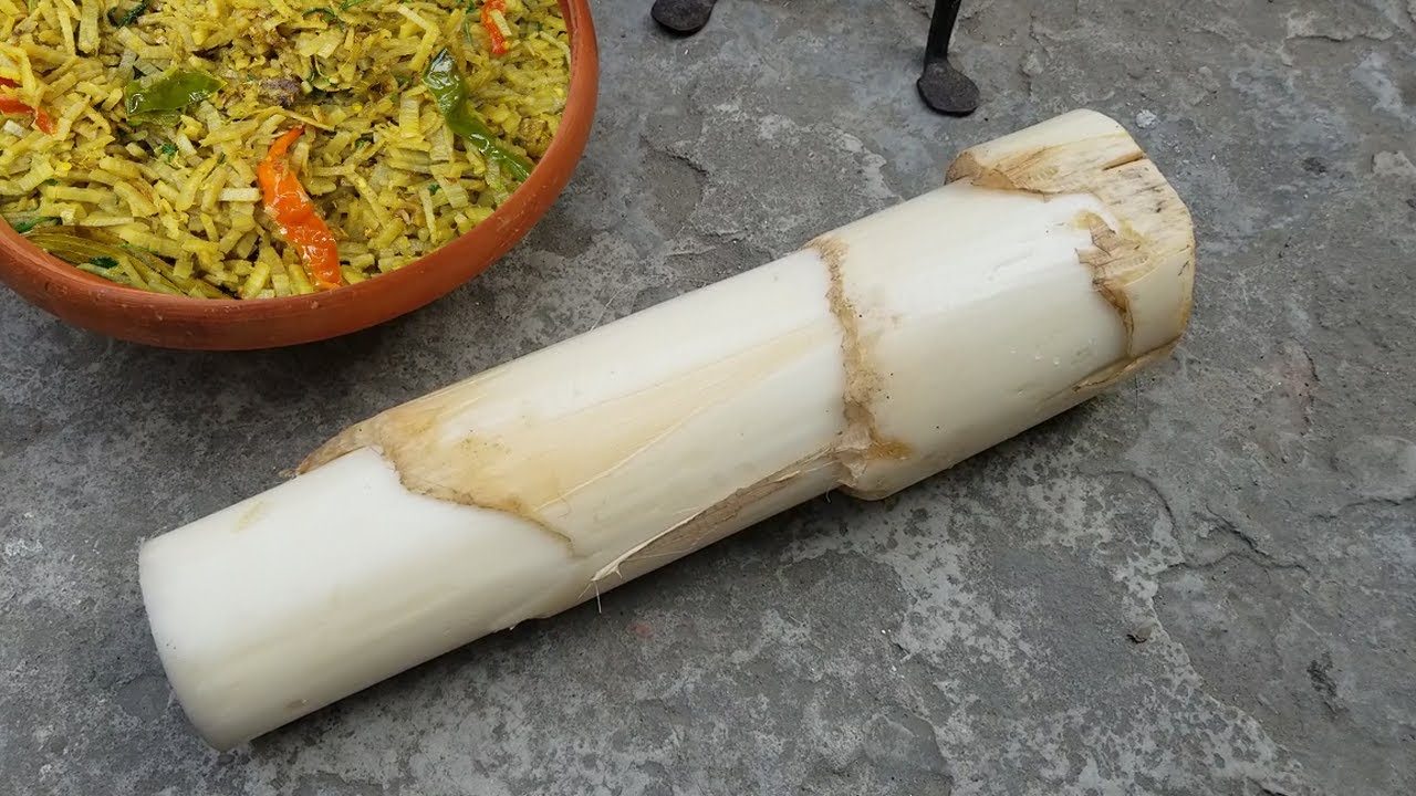 ক্যানজাল, সরিষাবাড়ি, জামালপুর