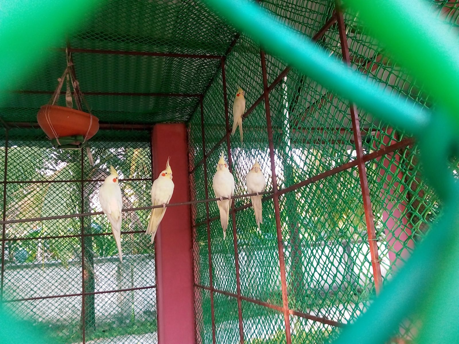 ডিসি পার্ক: ছবি ৩