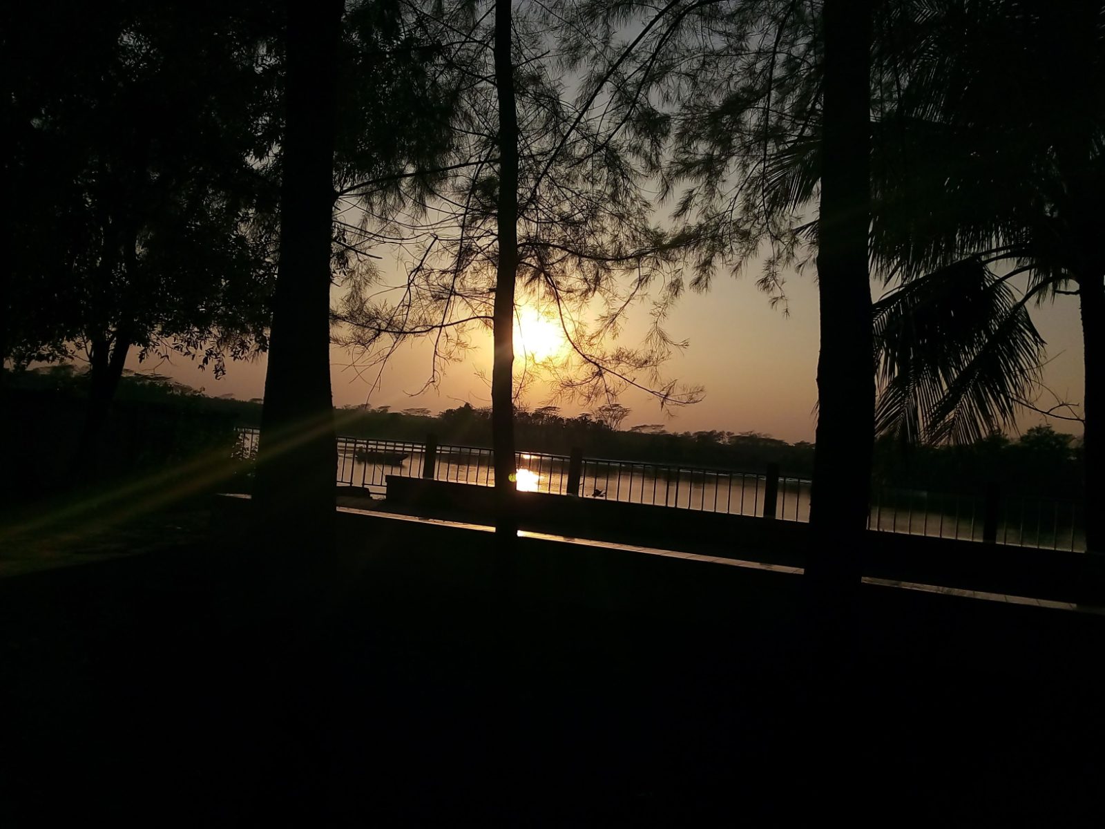 ডিসি পার্ক: ছবি ৬