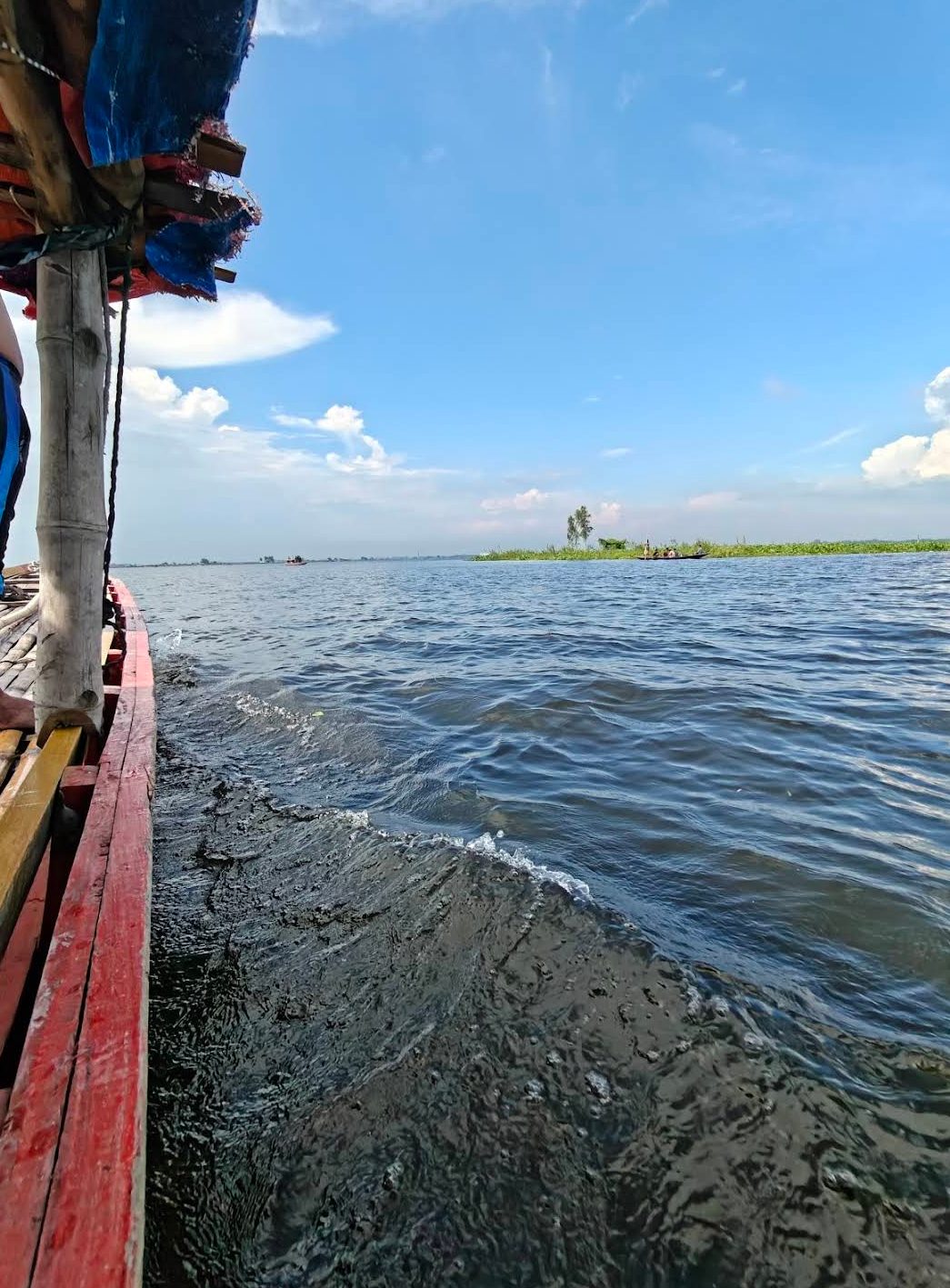 হাঁসাইগাড়ী বিল: ছবি ৩