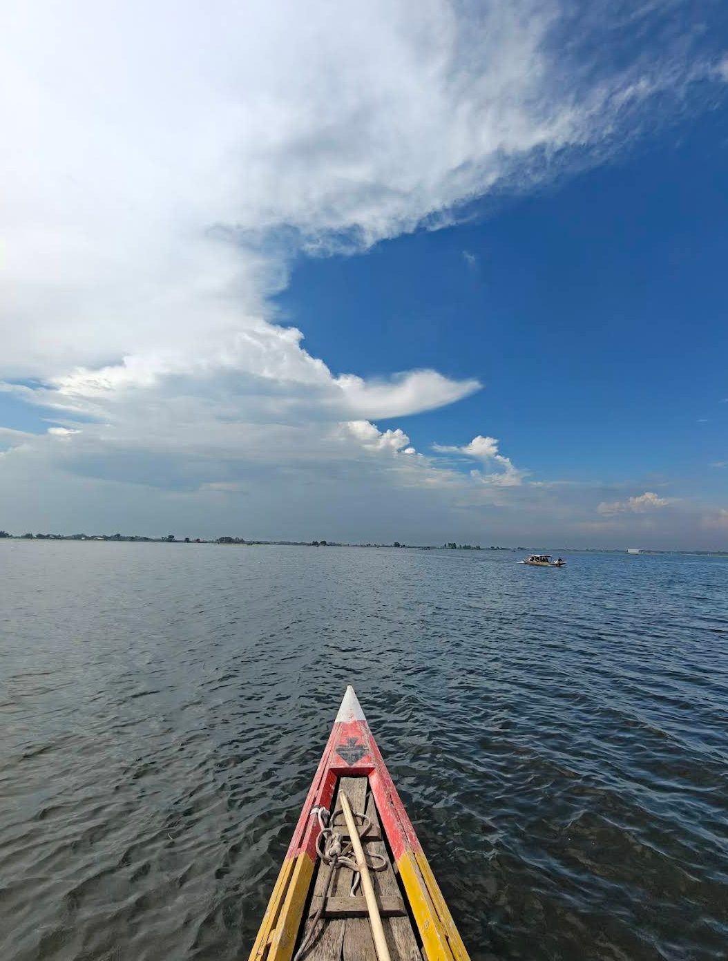 হাঁসাইগাড়ী বিল: ছবি ৪