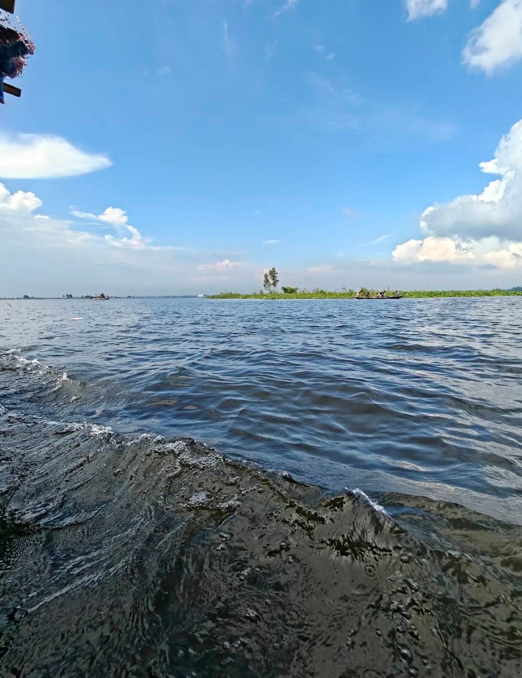 হাঁসাইগাড়ী বিল: ছবি ৫