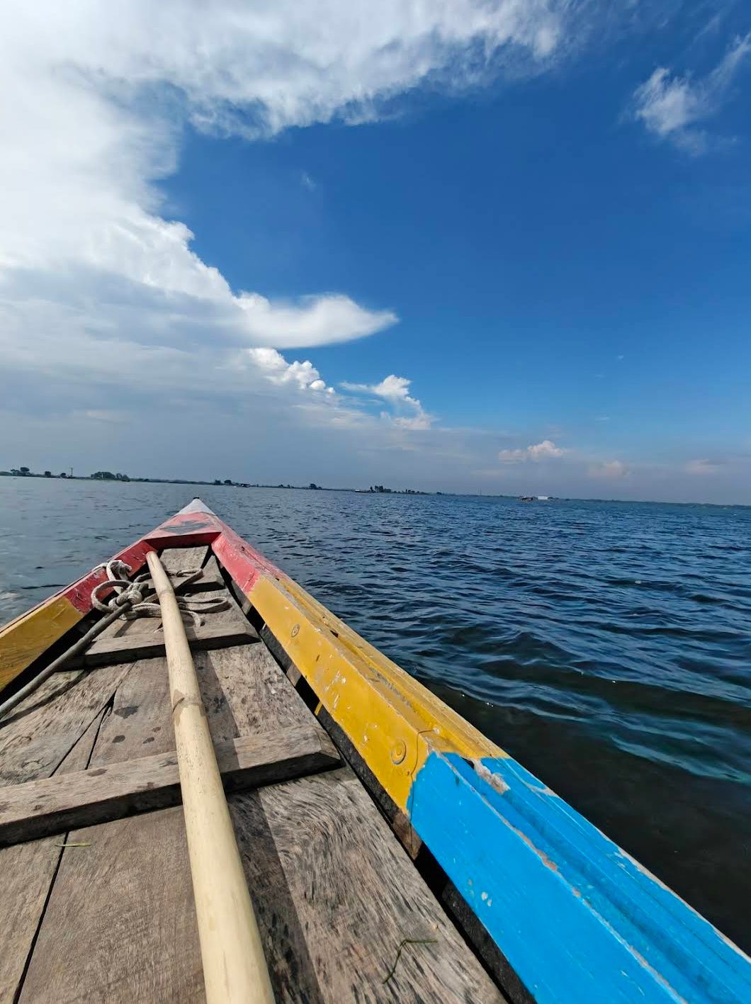 হাঁসাইগাড়ী বিল: ছবি ৬