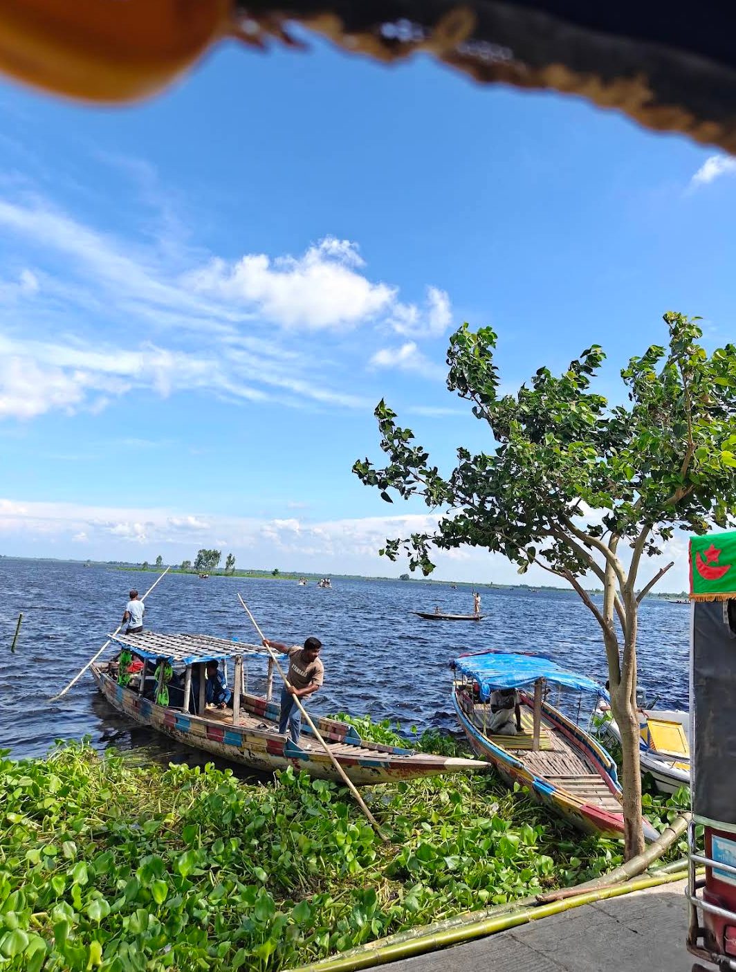 হাঁসাইগাড়ী বিল: ছবি ৭