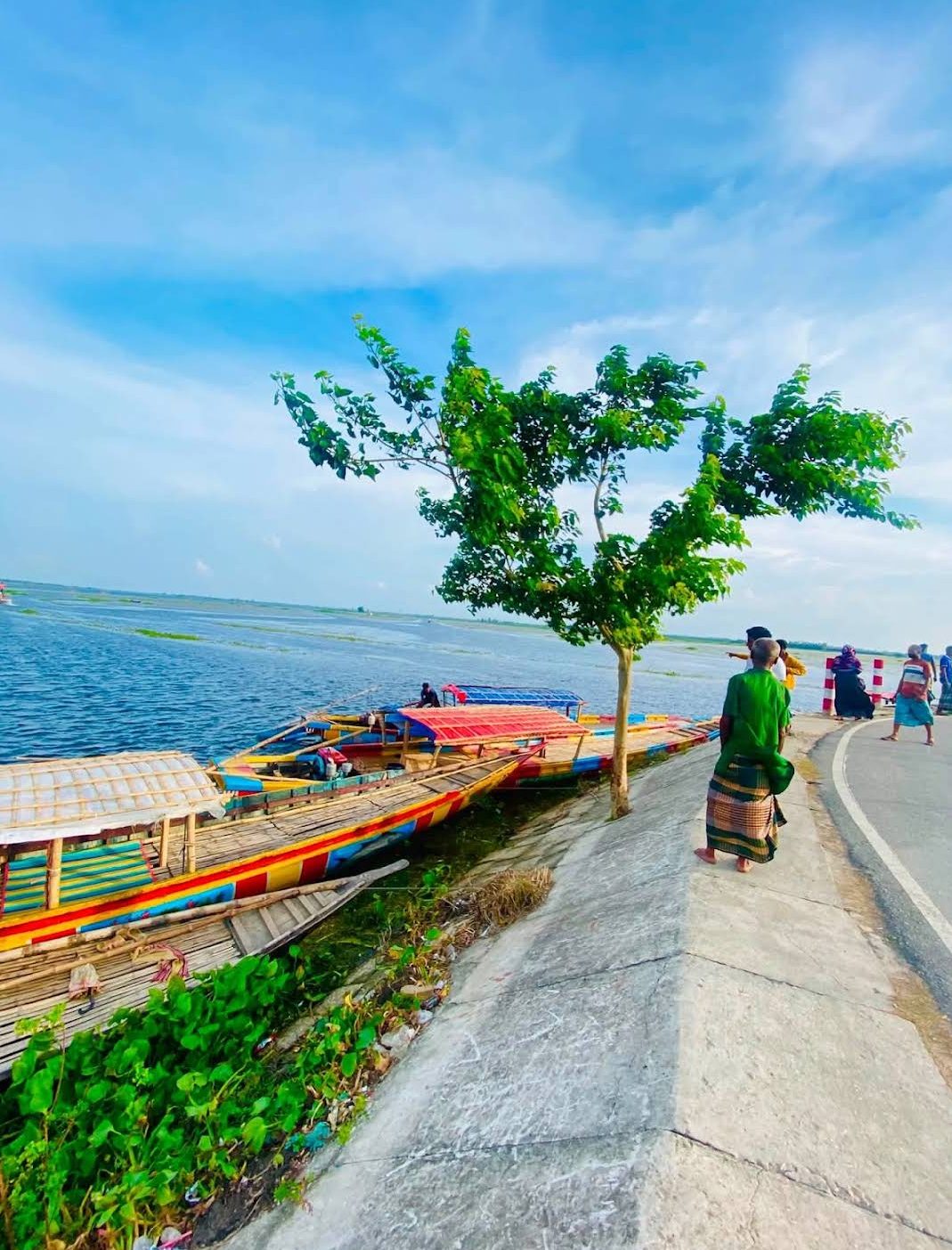 হাঁসাইগাড়ী বিল: ছবি ৮