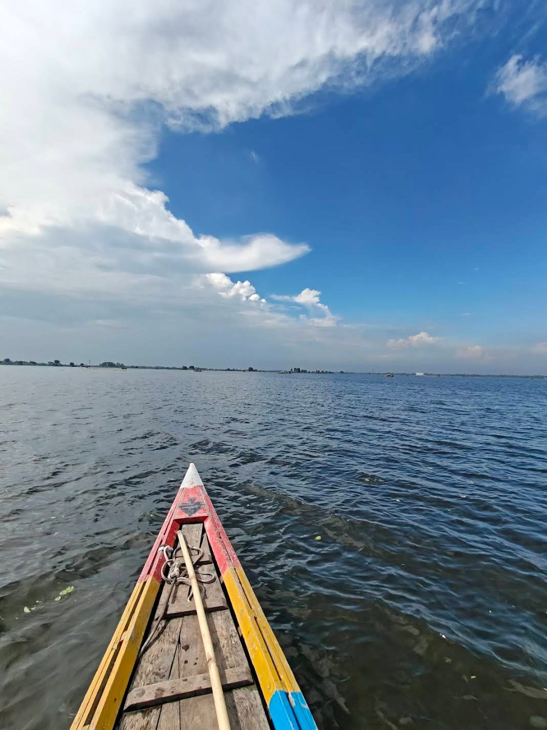 হাঁসাইগাড়ী বিল: ছবি ৯